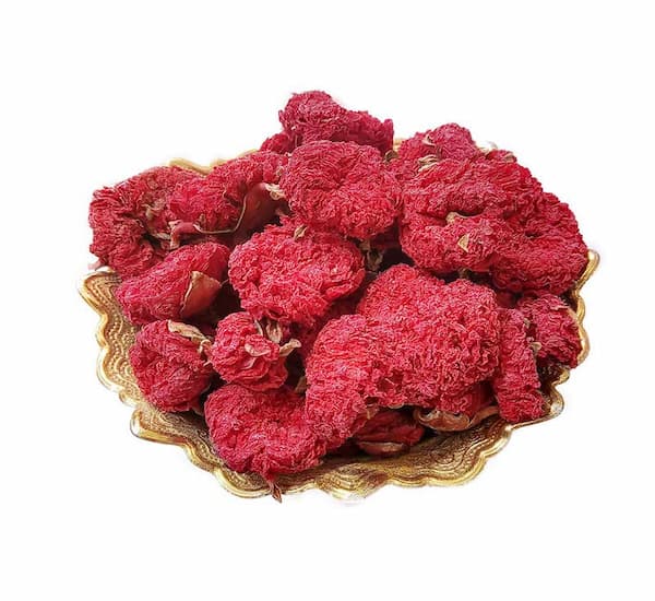 تصویر 2 از خرید و فروش گلنار فارسی گیاهینه با شرایط فوق العاده